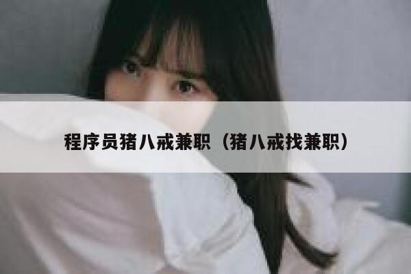 程序员猪八戒兼职（猪八戒找兼职） 第1张
