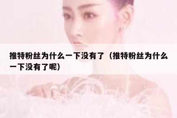 推特粉丝为什么一下没有了（推特粉丝为什么一下没有了呢） 第1张