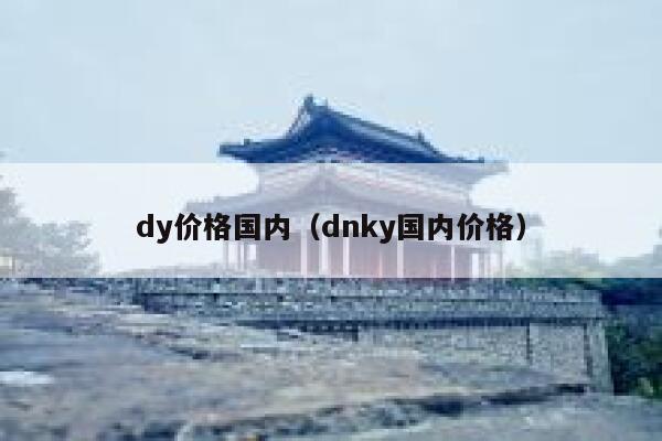 dy价格国内（dnky国内价格） 第1张