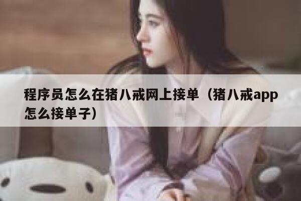 程序员怎么在猪八戒网上接单（猪八戒app怎么接单子） 第1张
