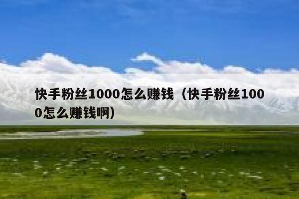 快手粉丝1000怎么赚钱（快手粉丝1000怎么赚钱啊） 第1张