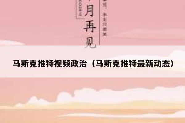 马斯克推特视频政治（马斯克推特最新动态） 第1张