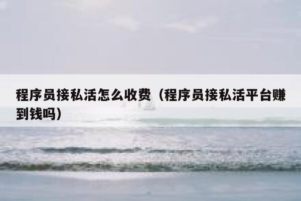 程序员接私活怎么收费（程序员接私活平台赚到钱吗） 第1张
