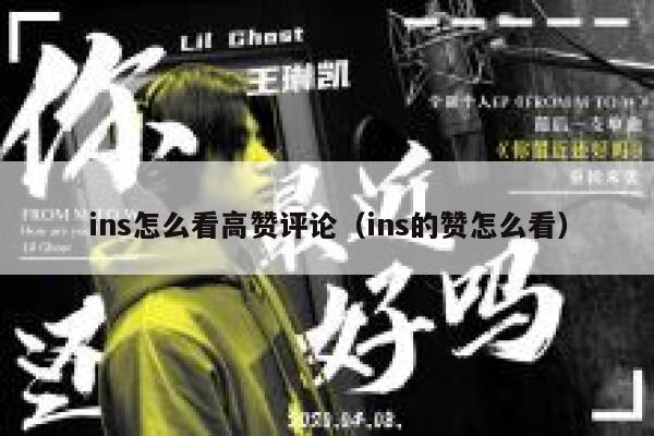 ins怎么看高赞评论（ins的赞怎么看） 第1张