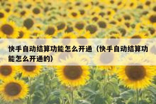 快手自动结算功能怎么开通（快手自动结算功能怎么开通的） 第1张