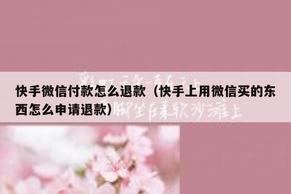 快手微信付款怎么退款（快手上用微信买的东西怎么申请退款） 第1张