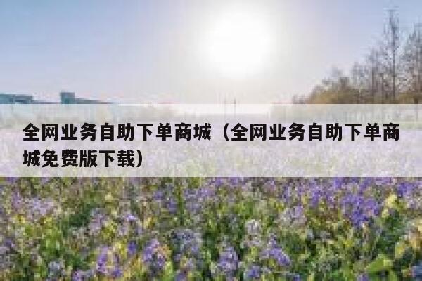 全网业务自助下单商城（全网业务自助下单商城免费版下载） 第1张