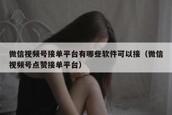 微信视频号接单平台有哪些软件可以接(微信视频号点赞接单平台) 第1张 微信视频号接单平台有哪些软件可以接(微信视频号点赞接单平台) 第1张