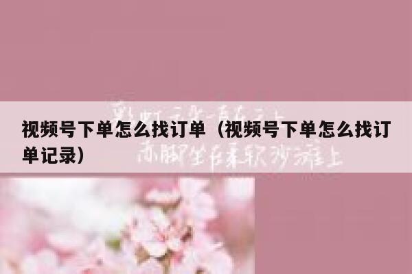 视频号下单怎么找订单(视频号下单怎么找订单记录) 第1张 视频号下单怎么找订单(视频号下单怎么找订单记录) 第1张