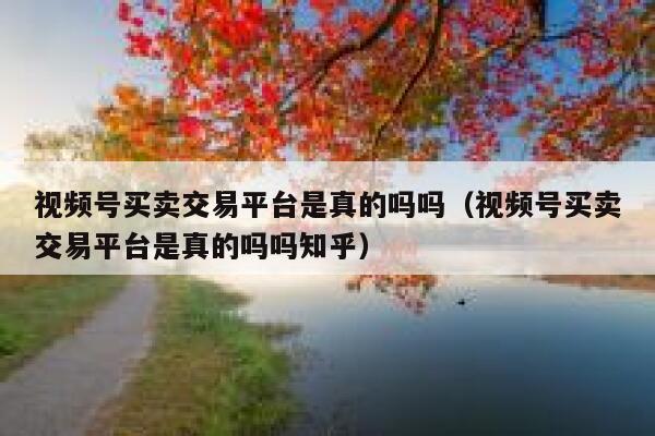 视频号买卖交易平台是真的吗吗（视频号买卖交易平台是真的吗吗知乎） 第1张