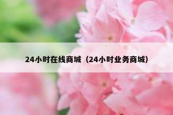 24小时在线商城(24小时业务商城) 第1张 24小时在线商城(24小时业务商城) 第1张