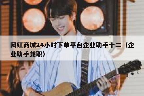 网红商城24小时下单平台企业助手十二（企业助手兼职） 第1张