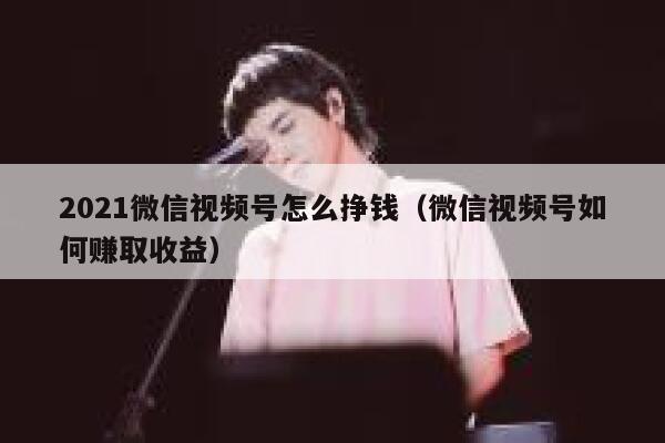 2021微信视频号怎么挣钱（微信视频号如何赚取收益） 第1张