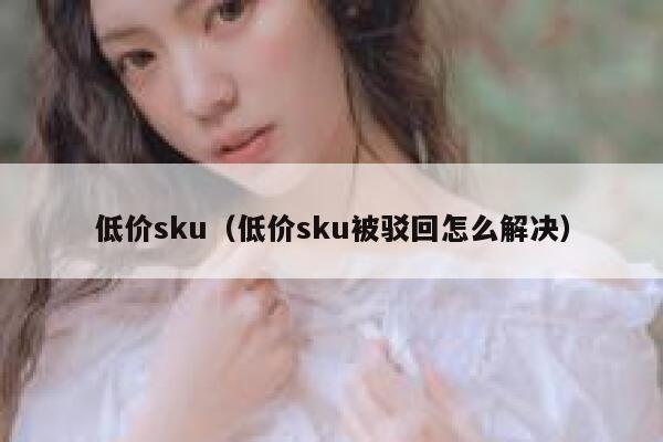 低价sku(低价sku被驳回怎么解决) 第1张 低价sku(低价sku被驳回怎么解决) 第1张