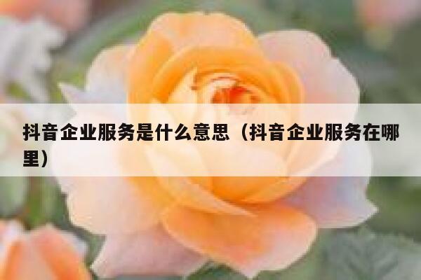 抖音企业服务是什么意思(抖音企业服务在哪里) 第1张 抖音企业服务是什么意思(抖音企业服务在哪里) 第1张