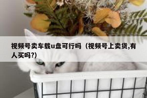 视频号卖车载u盘可行吗(视频号上卖货,有人买吗?) 第1张 视频号卖车载u盘可行吗(视频号上卖货,有人买吗?) 第1张