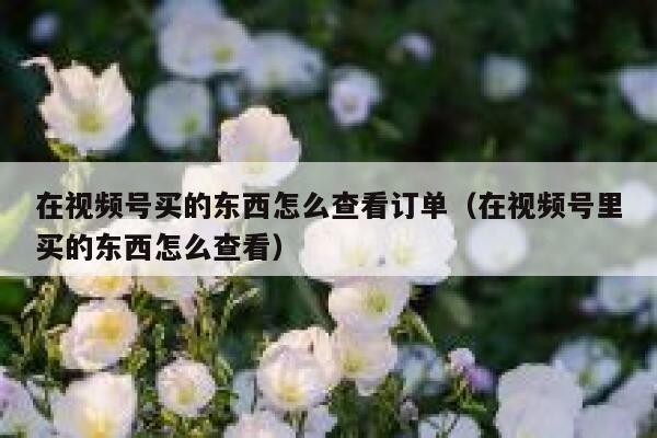 在视频号买的东西怎么查看订单(在视频号里买的东西怎么查看) 第1张 在视频号买的东西怎么查看订单(在视频号里买的东西怎么查看) 第1张