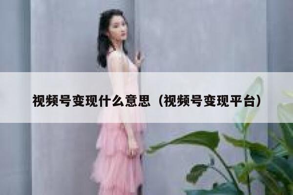 视频号变现什么意思(视频号变现平台) 第1张 视频号变现什么意思(视频号变现平台) 第1张