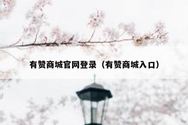 有赞商城官网登录（有赞商城入口） 第1张