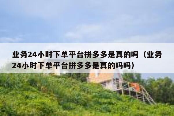 业务24小时下单平台拼多多是真的吗（业务24小时下单平台拼多多是真的吗吗） 第1张