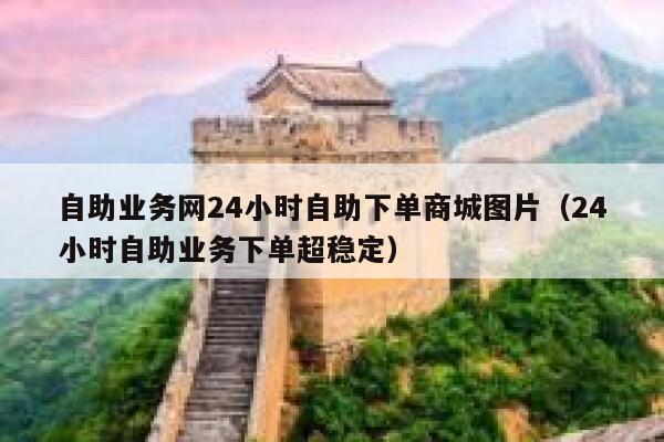 自助业务网24小时自助下单商城图片（24小时自助业务下单超稳定） 第1张