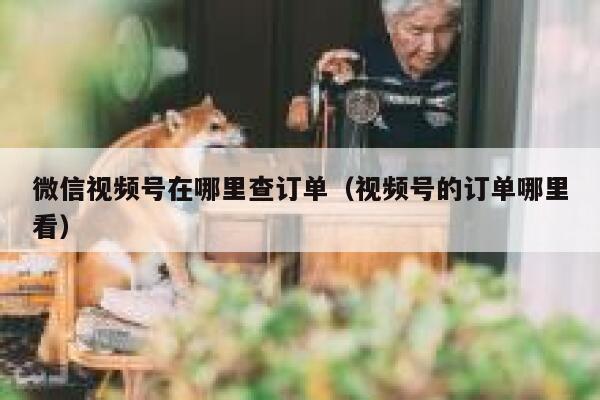 微信视频号在哪里查订单(视频号的订单哪里看) 第1张 微信视频号在哪里查订单(视频号的订单哪里看) 第1张