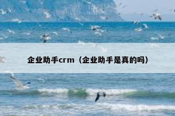 企业助手crm（企业助手是真的吗） 第1张