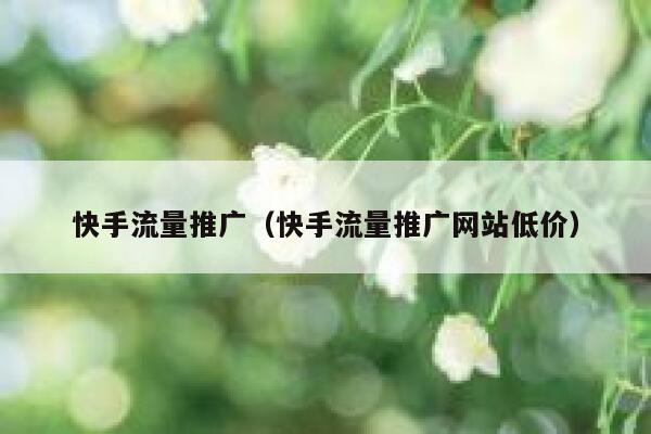 快手流量推广(快手流量推广网站低价) 第1张 快手流量推广(快手流量推广网站低价) 第1张
