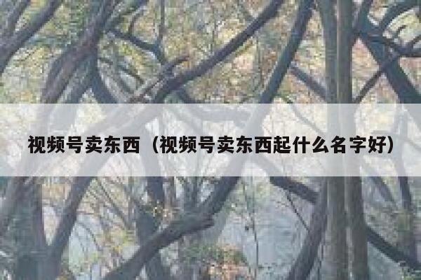 视频号卖东西（视频号卖东西起什么名字好） 第1张