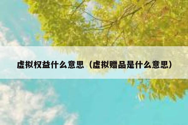 虚拟权益什么意思(虚拟赠品是什么意思) 第1张 虚拟权益什么意思(虚拟赠品是什么意思) 第1张