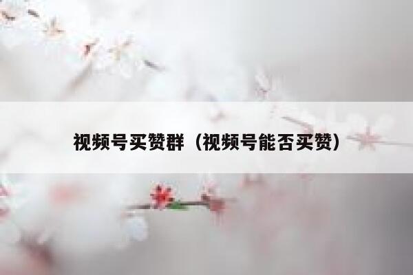 视频号买赞群（视频号能否买赞） 第1张