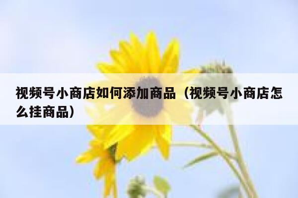 视频号小商店如何添加商品（视频号小商店怎么挂商品） 第1张