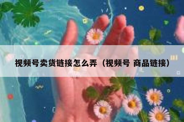 视频号卖货链接怎么弄(视频号 商品链接) 第1张 视频号卖货链接怎么弄(视频号 商品链接) 第1张