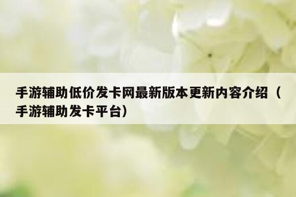 手游辅助低价发卡网最新版本更新内容介绍(手游辅助发卡平台) 第1张 手游辅助低价发卡网最新版本更新内容介绍(手游辅助发卡平台) 第1张