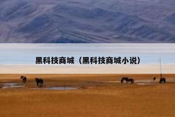 黑科技商城（黑科技商城小说） 第1张