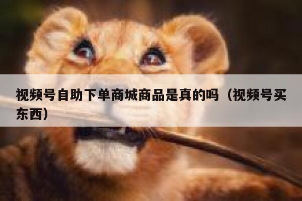 视频号自助下单商城商品是真的吗(视频号买东西) 第1张 视频号自助下单商城商品是真的吗(视频号买东西) 第1张