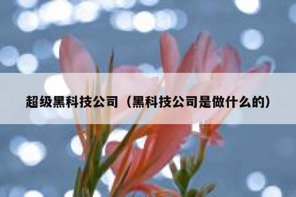 超级黑科技公司（黑科技公司是做什么的） 第1张