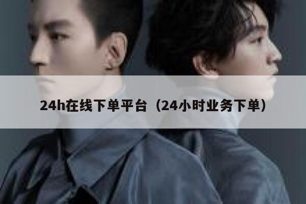 24h在线下单平台（24小时业务下单） 第1张