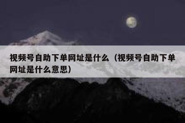 视频号自助下单网址是什么(视频号自助下单网址是什么意思) 第1张 视频号自助下单网址是什么(视频号自助下单网址是什么意思) 第1张