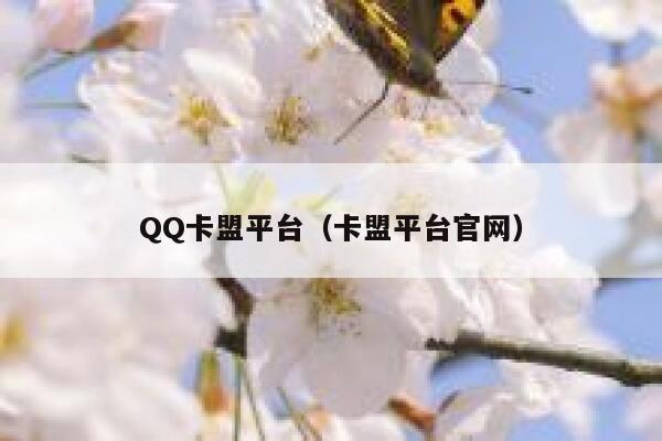 QQ卡盟平台(卡盟平台官网) 第1张 QQ卡盟平台(卡盟平台官网) 第1张