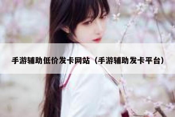 手游辅助低价发卡网站（手游辅助发卡平台） 第1张