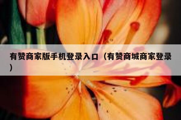 有赞商家版手机登录入口（有赞商城商家登录） 第1张