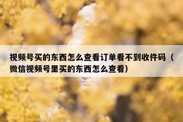 视频号买的东西怎么查看订单看不到收件码（微信视频号里买的东西怎么查看） 第1张