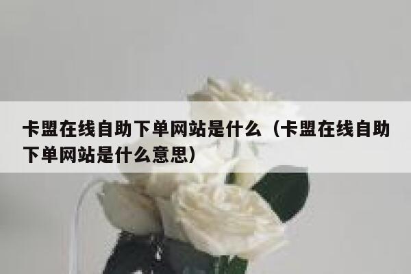 卡盟在线自助下单网站是什么（卡盟在线自助下单网站是什么意思） 第1张