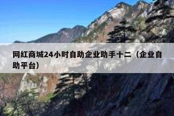 网红商城24小时自助企业助手十二（企业自助平台） 第1张