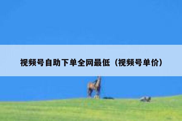 视频号自助下单全网最低（视频号单价） 第1张