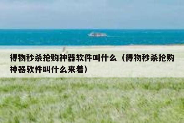 得物秒杀抢购神器软件叫什么(得物秒杀抢购神器软件叫什么来着) 第1张 得物秒杀抢购神器软件叫什么(得物秒杀抢购神器软件叫什么来着) 第1张