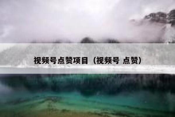 视频号点赞项目（视频号 点赞） 第1张