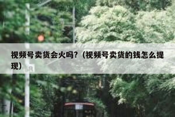视频号卖货会火吗?（视频号卖货的钱怎么提现） 第1张