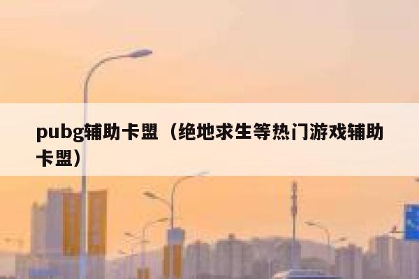 pubg辅助卡盟（绝地求生等热门游戏辅助卡盟） 第1张
